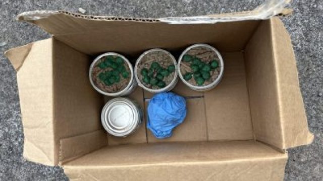 Contaminated Cat Food Raises A