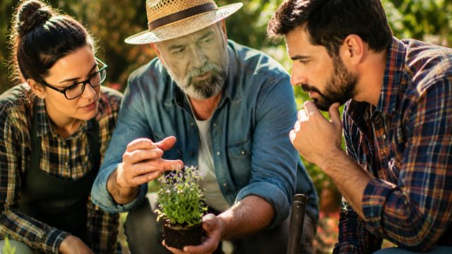 Unlocking Gardening Wisdom: Yo