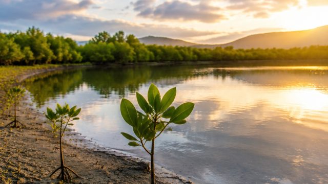 Revival of Climate.gov: A New 