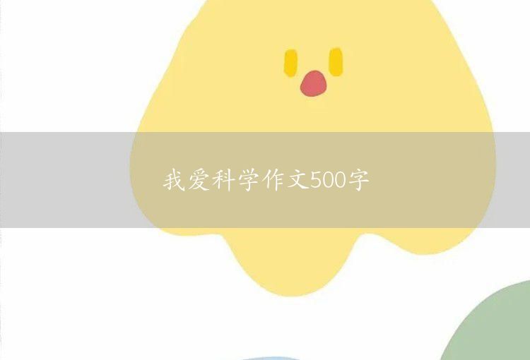 A 500-word essay on buying new year’s goods